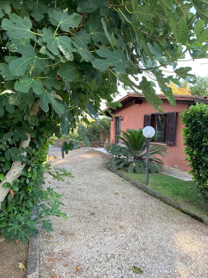 La Casa Di Irene Nel Golf Club Villa Rome Luaran gambar